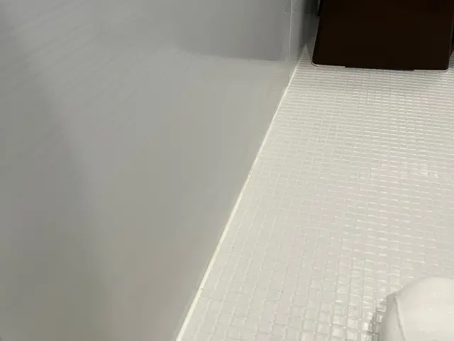 浴室内の黒ズミ、鏡のウロコ、床のカビ、水垢洗浄しますサービスの画像