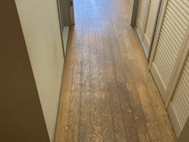 今からの時期ご依頼殺到中！即日有ります！一つ上のランクの空室清掃です！非喫煙者サービスの画像