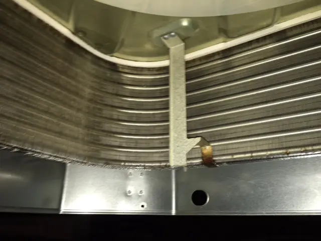 2台以上がお得！【無色無臭の洗剤を使用】安心の保険加入店！サービスの画像