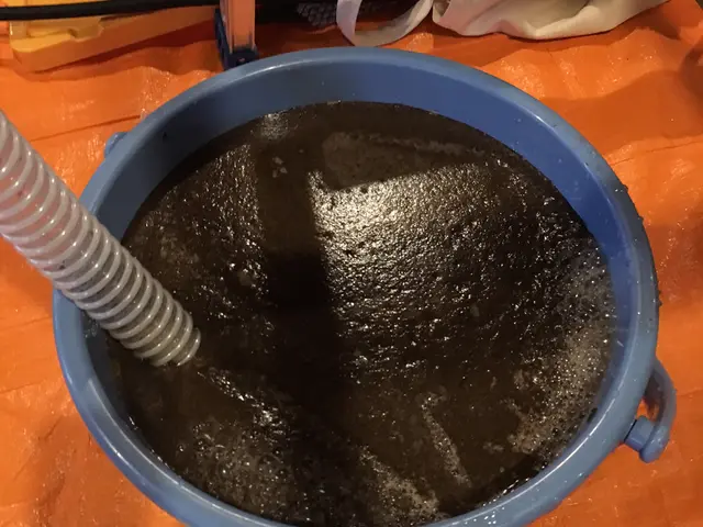 2台以上がお得！【無色無臭の洗剤を使用】安心の保険加入店！サービスの画像