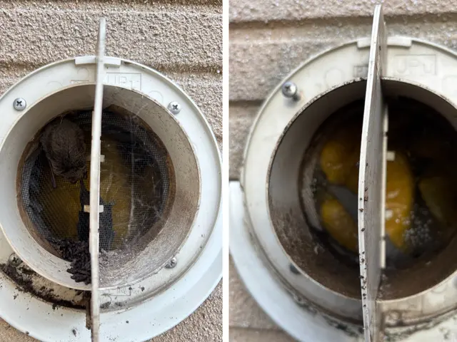 100％自社対応　コウモリ追い出し・清掃・消毒まで一括対応サービスの画像