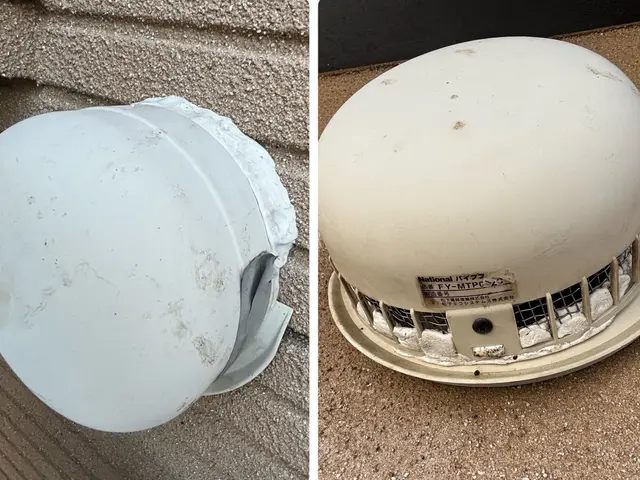 100％自社対応　コウモリ追い出し・清掃・消毒まで一括対応サービスの画像