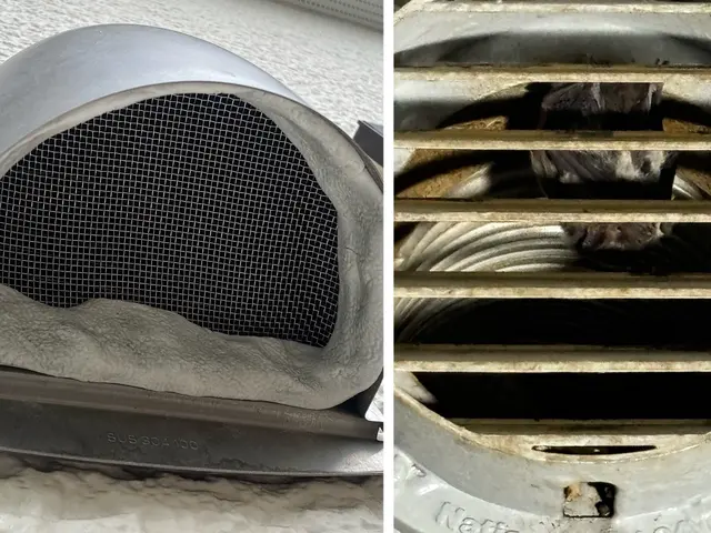 100％自社対応　コウモリ追い出し・清掃・消毒まで一括対応サービスの画像