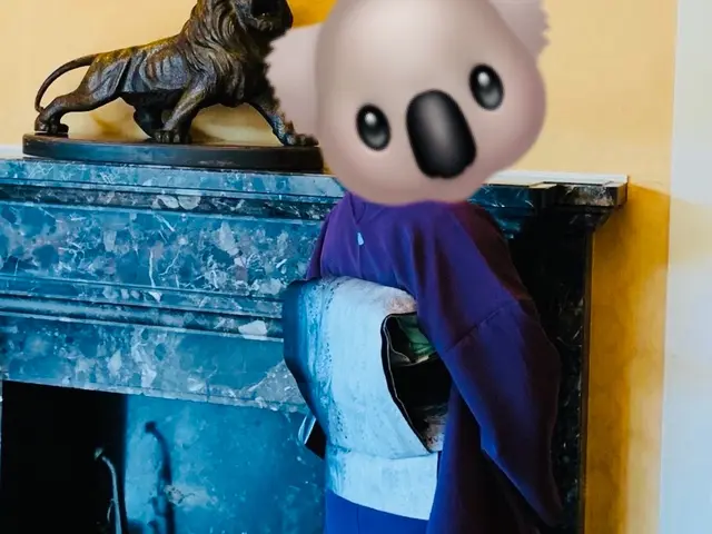 ★着崩れしないと高評価★着物でいつもと違う自分を発見しませんか？