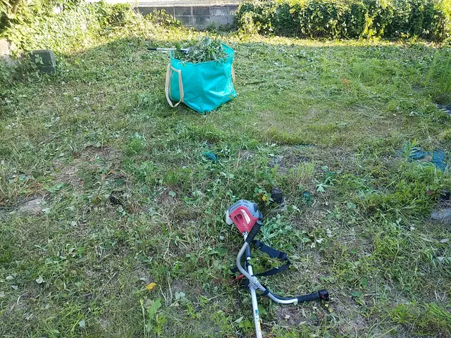 ◇庭木の剪定専門業者◇拘りの完全自社施工◇素敵なお庭作りサポートサービスの画像