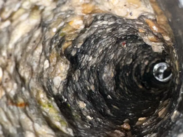 【当日対応OK】掲載料金は詰まりがない洗浄のみの金額になります。サービスの画像