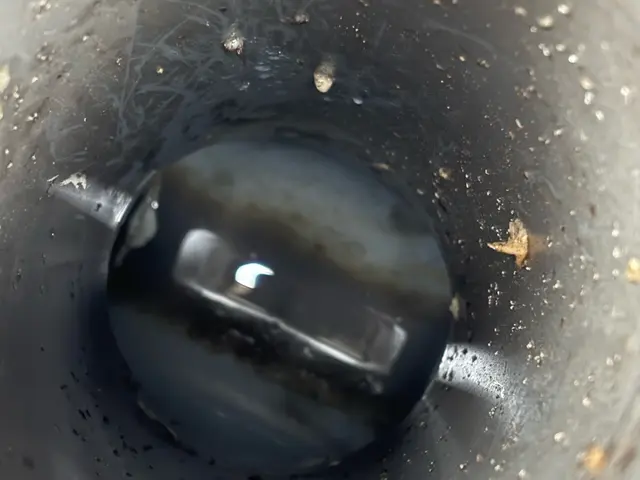 【当日対応OK】掲載料金は詰まりがない洗浄のみの金額になります。サービスの画像