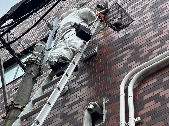 【金賞受賞店舗】西日本ハチ駆除口コミ数NO.1        〓ぼったくり撲滅〓サービスの画像