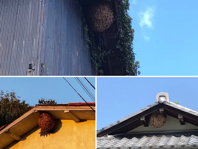 【金賞受賞店舗】西日本ハチ駆除口コミ数NO.1        〓ぼったくり撲滅〓サービスの画像