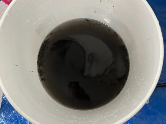 ◆PayPay払い対応可◆笑顔、丁寧がモットーです！サービスの画像