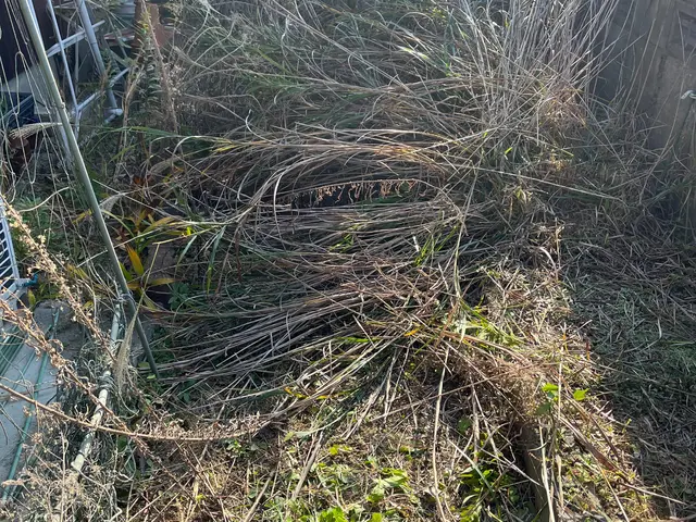 ◆草刈り◆年中無休・営業時間外も対応OK！自信の自社施工！サービスの画像