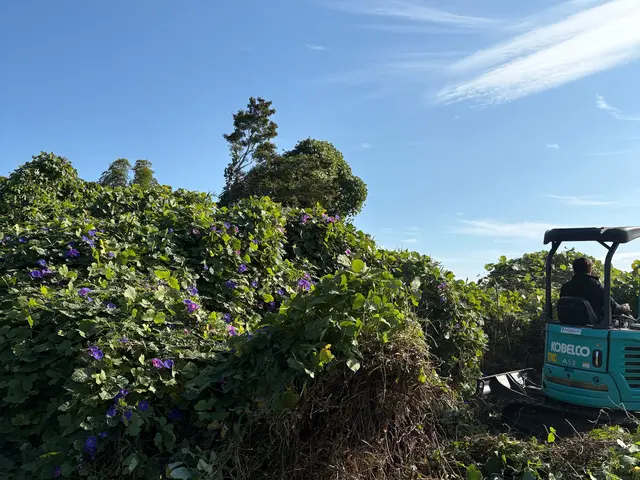 草刈りにお困りの方ご連絡下さい。 お客様に寄り添ったご提案致します。サービスの画像