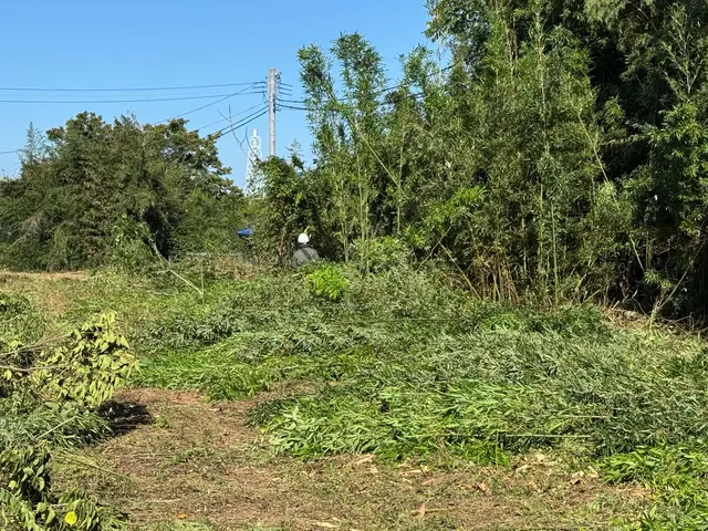 草刈りにお困りの方ご連絡下さい。 お客様に寄り添ったご提案致します。サービスの画像