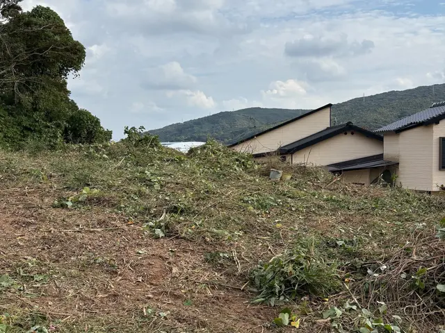 草刈りにお困りの方ご連絡下さい。 お客様に寄り添ったご提案致します。サービスの画像