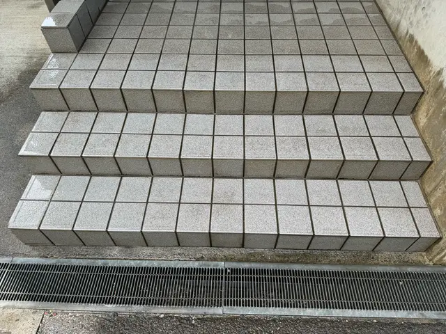 【汚れてきた玄関タイルもリフレッシュ！】◇洗浄清掃後のお手入れ方法お伝えします！サービスの画像