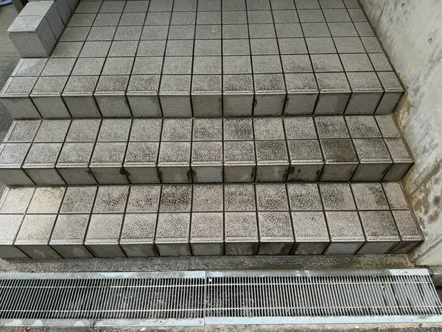 【汚れてきた玄関タイルもリフレッシュ！】◇洗浄清掃後のお手入れ方法お伝えします！サービスの画像