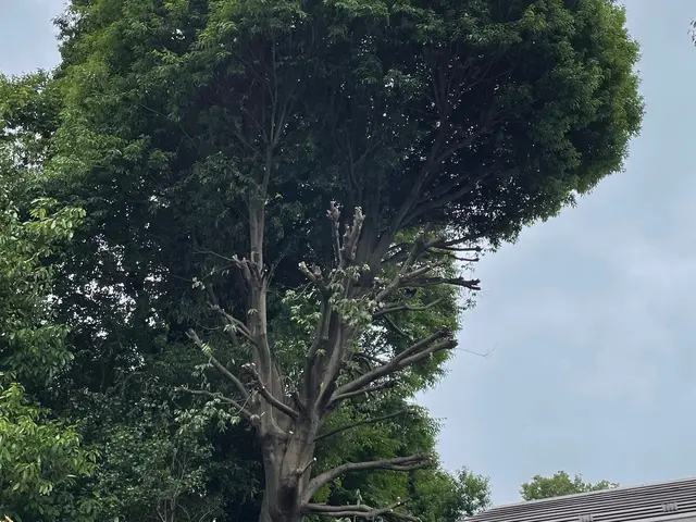 ＜女性スタッフの同行OK＞営業時間外のご予約も相談可能です◎サービスの画像