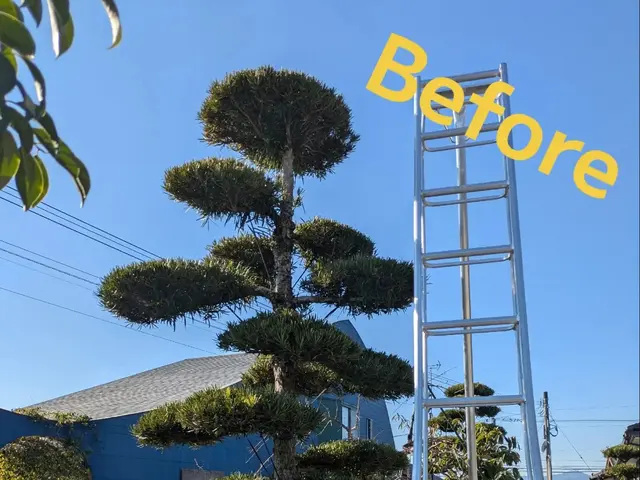 【キャンペーン】口コミ10件入るまで10%OFF!サービスの画像