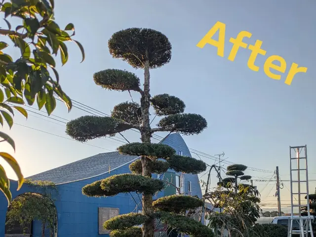 【キャンペーン】口コミ10件入るまで10%OFF!サービスの画像