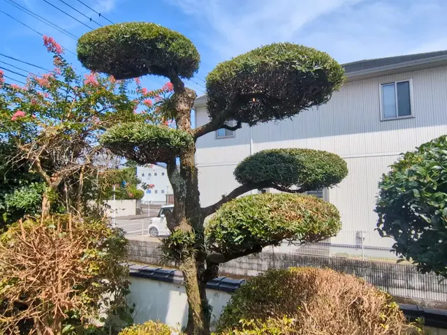 プロの技術でご満足いただけるように心を込めて作業いたしますサービスの画像