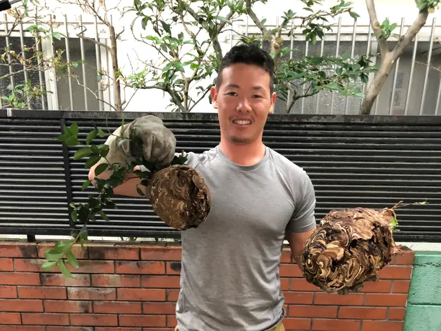 ★蜂★業界歴8年・実績2500件以上！即日対応で安全・確実に駆除します！サービスの画像