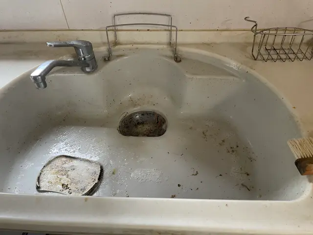 【土日祝日・即日可！】 元大手社員が隅々まで専用洗剤で洗浄！ ご予約はお早めに！サービスの画像