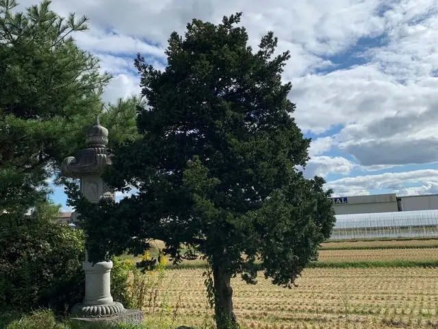 《技術と価格に自信あり！》地域に根ざしたサービス提供を目指していますサービスの画像