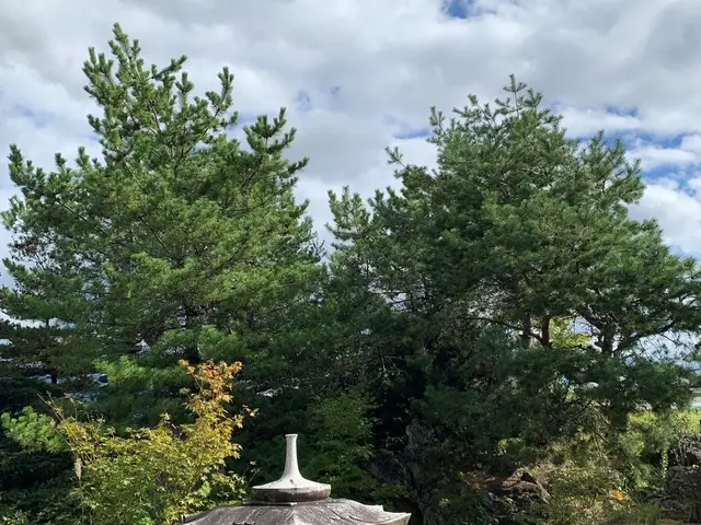 《技術と価格に自信あり！》地域に根ざしたサービス提供を目指していますサービスの画像