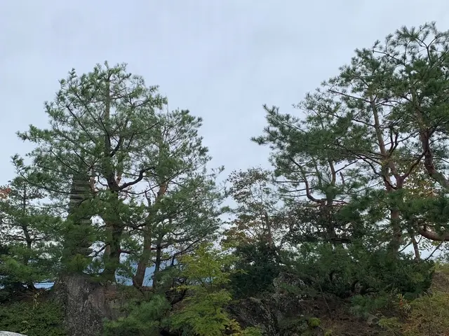 《技術と価格に自信あり！》地域に根ざしたサービス提供を目指していますサービスの画像