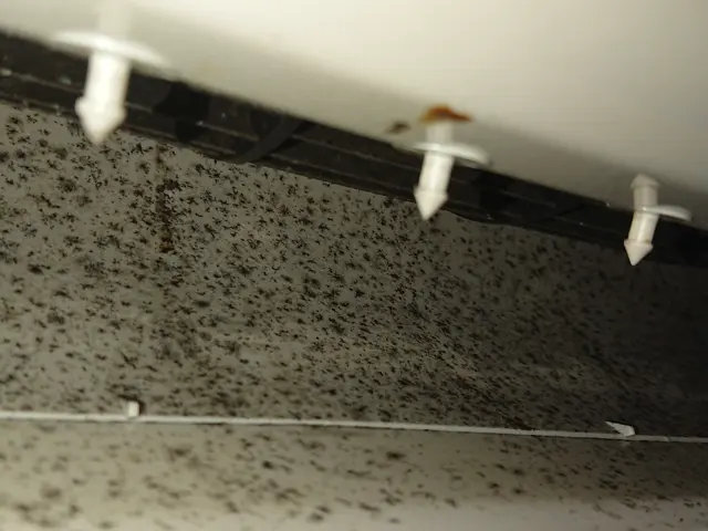 業界歴25年◆実績豊富の信頼保証！店長の成田が伺います！＜全機種対応可＞サービスの画像