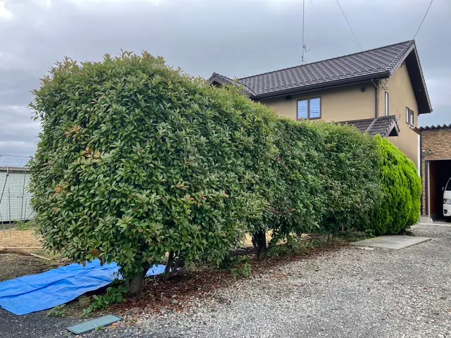 お客様のお力になります！経験と知識を活かして迅速丁寧に作業いたしますサービスの画像