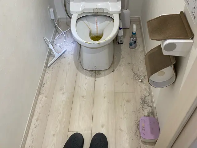 【コロナ対策】徹底して行います。サービスの画像