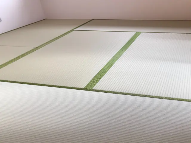 ◆表替え　熊本産麻綿表（畳表１山の中に麻糸２本、綿糸２本合計４本入ってます。）サービスの画像