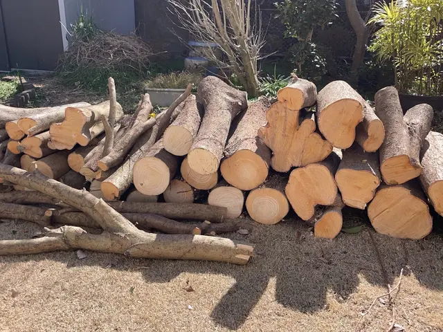 ご予算内で、伐採、抜根を承ります。お気軽にお見積りの御連絡をお待ちしてます。サービスの画像