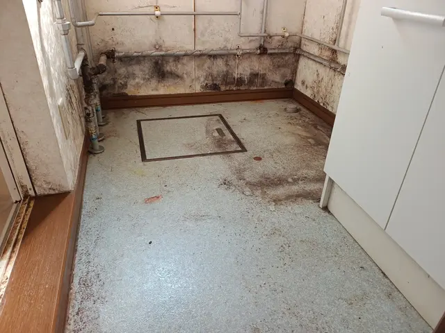 《1日1件丁寧施工》汚れもしっかり落としてスッキリ！嬉しい声をたくさん頂いてますサービスの画像