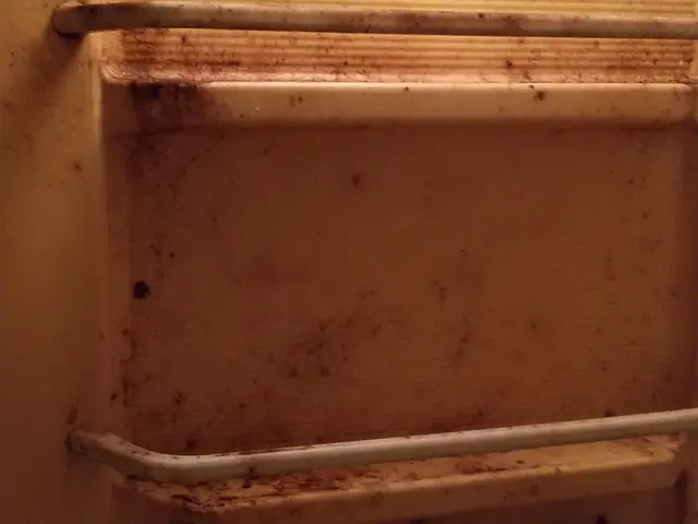 12月のご予約受付中◎全て自社対応★エプロン内部高圧洗浄込みサービスの画像