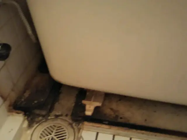 12月のご予約受付中◎全て自社対応★エプロン内部高圧洗浄込みサービスの画像