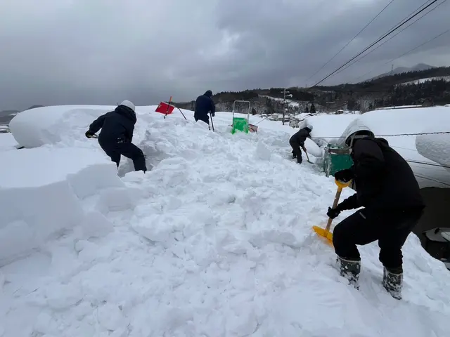 雪かき、雪おろしサービスサービスの画像