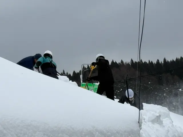雪かき、雪おろしサービスサービスの画像