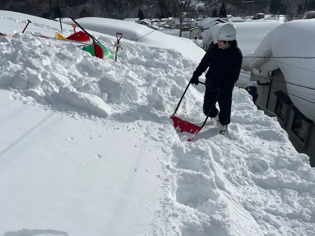雪かき、雪おろしサービスサービスの画像