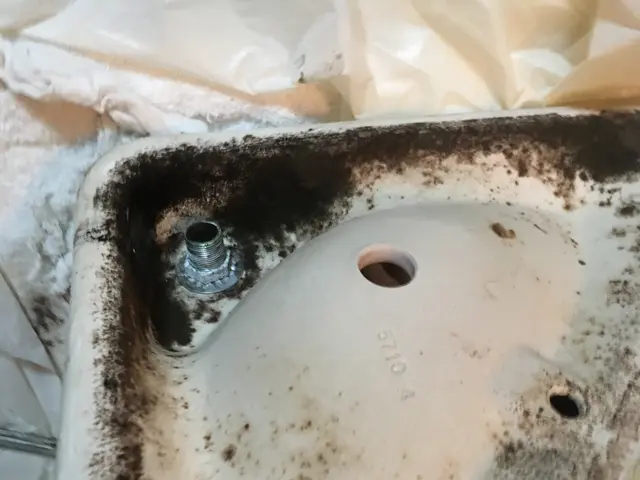 トイレは心の鏡です。家も心もピカピカに★マスク着用★除菌後に入室致します。サービスの画像