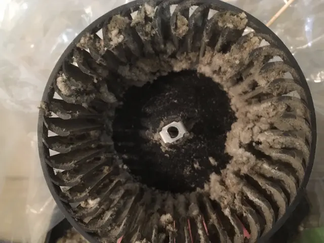 トイレは心の鏡です。家も心もピカピカに★マスク着用★除菌後に入室致します。サービスの画像