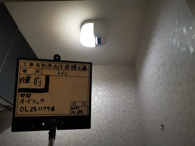 門灯、外玄関等のセンサーライト取付け工事。業歴10年◎写真の者が伺います。サービスの画像