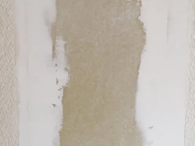 11月出店◇◆感謝の気持ちで奉仕のサービス◎賃貸退去も安心！適切な補修範囲を提案サービスの画像