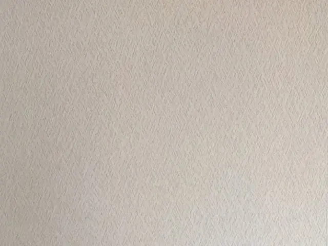 11月出店◇◆感謝の気持ちで奉仕のサービス◎賃貸退去も安心！適切な補修範囲を提案サービスの画像