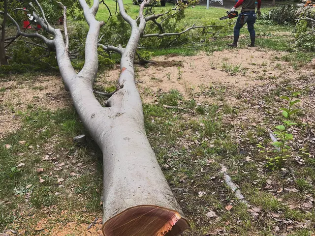 【業歴10年以上の経験実績】損害保険加入済み◎営業時間外・対応地域外も対応可能！サービスの画像