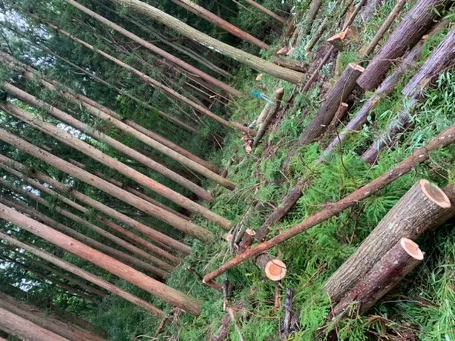 【業歴10年以上の経験実績】損害保険加入済み◎営業時間外・対応地域外も対応可能！サービスの画像