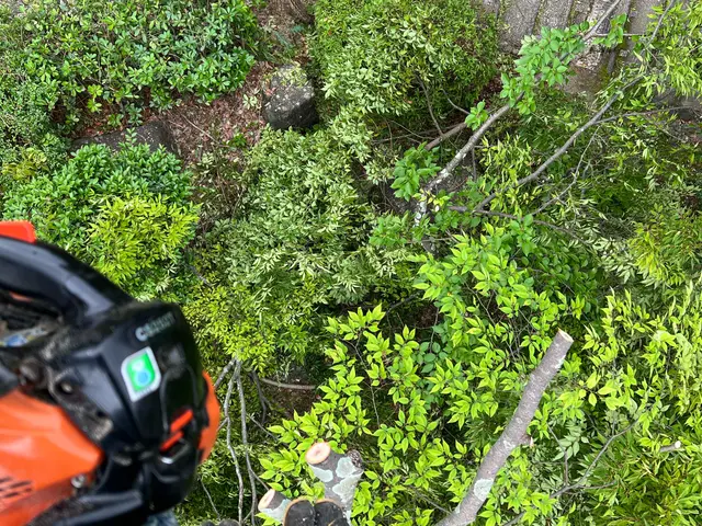【業歴10年以上の経験実績】損害保険加入済み◎営業時間外・対応地域外も対応可能！サービスの画像
