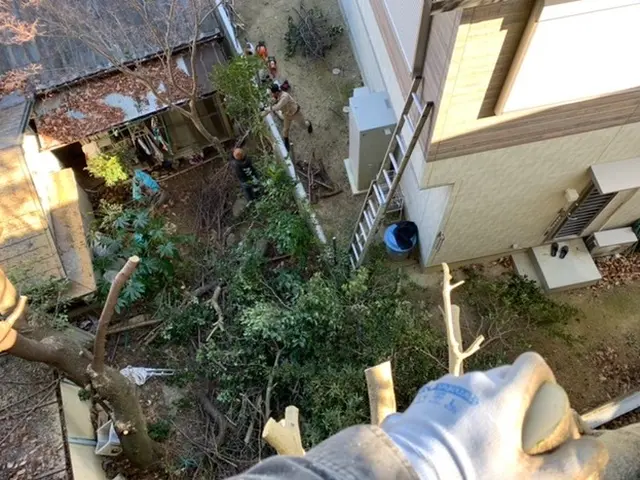 【業歴10年以上の経験実績】損害保険加入済み◎営業時間外・対応地域外も対応可能！サービスの画像