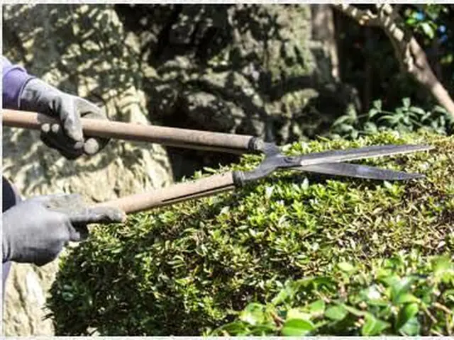 ベテラン職人在籍◎仕上がり保証付！サービスの画像